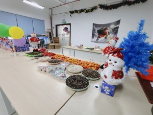 “多國風(fēng)采,、別具風(fēng)格”的的圣誕節(jié)活動(dòng)
